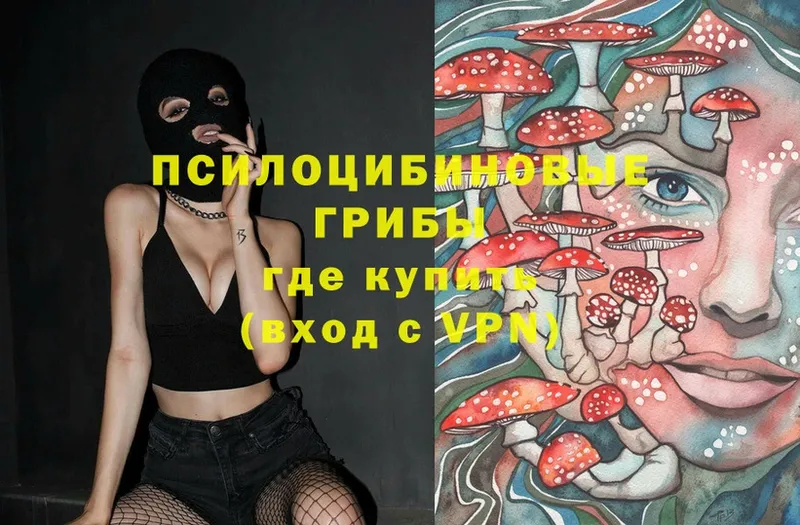 закладки  Вятские Поляны  shop клад  Галлюциногенные грибы Psilocybe 